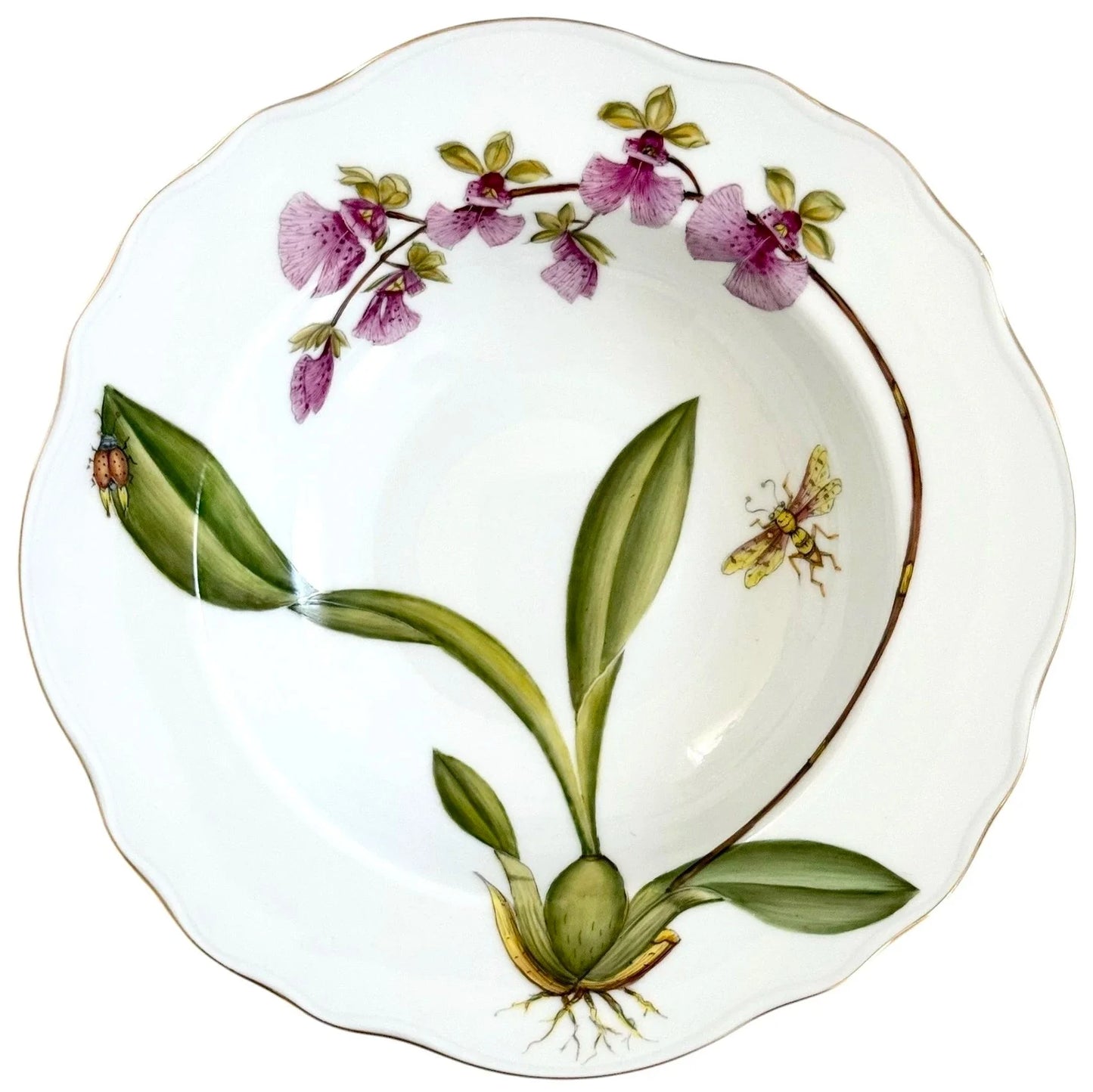 OR6R -  Soup/Pasta Plate