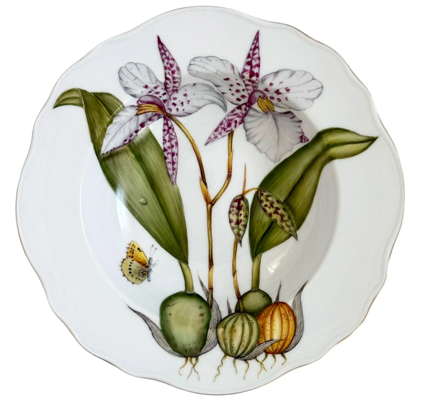 OR2R -  Soup/Pasta Plate
