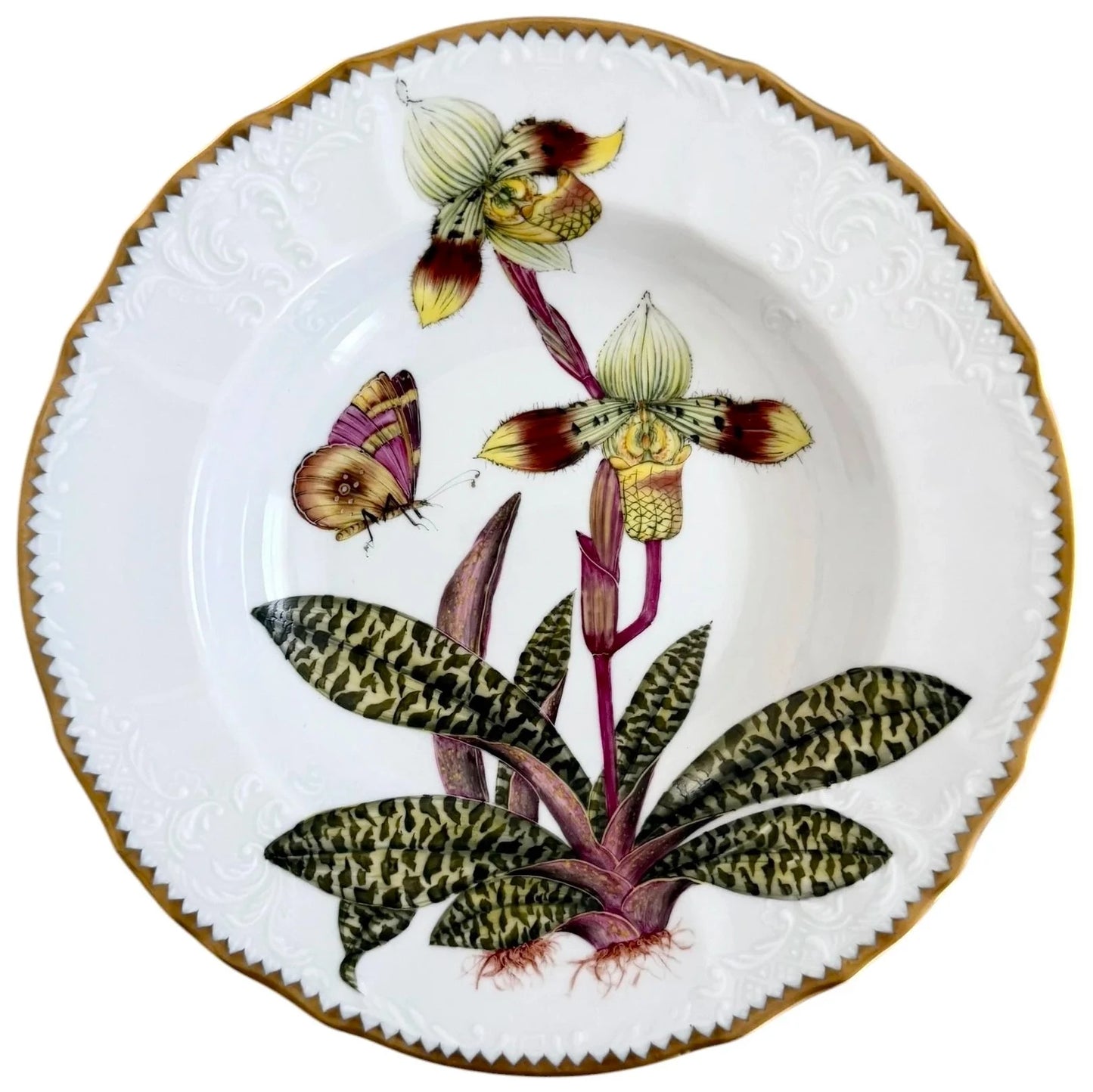 OR5 -  Soup/Pasta Plate