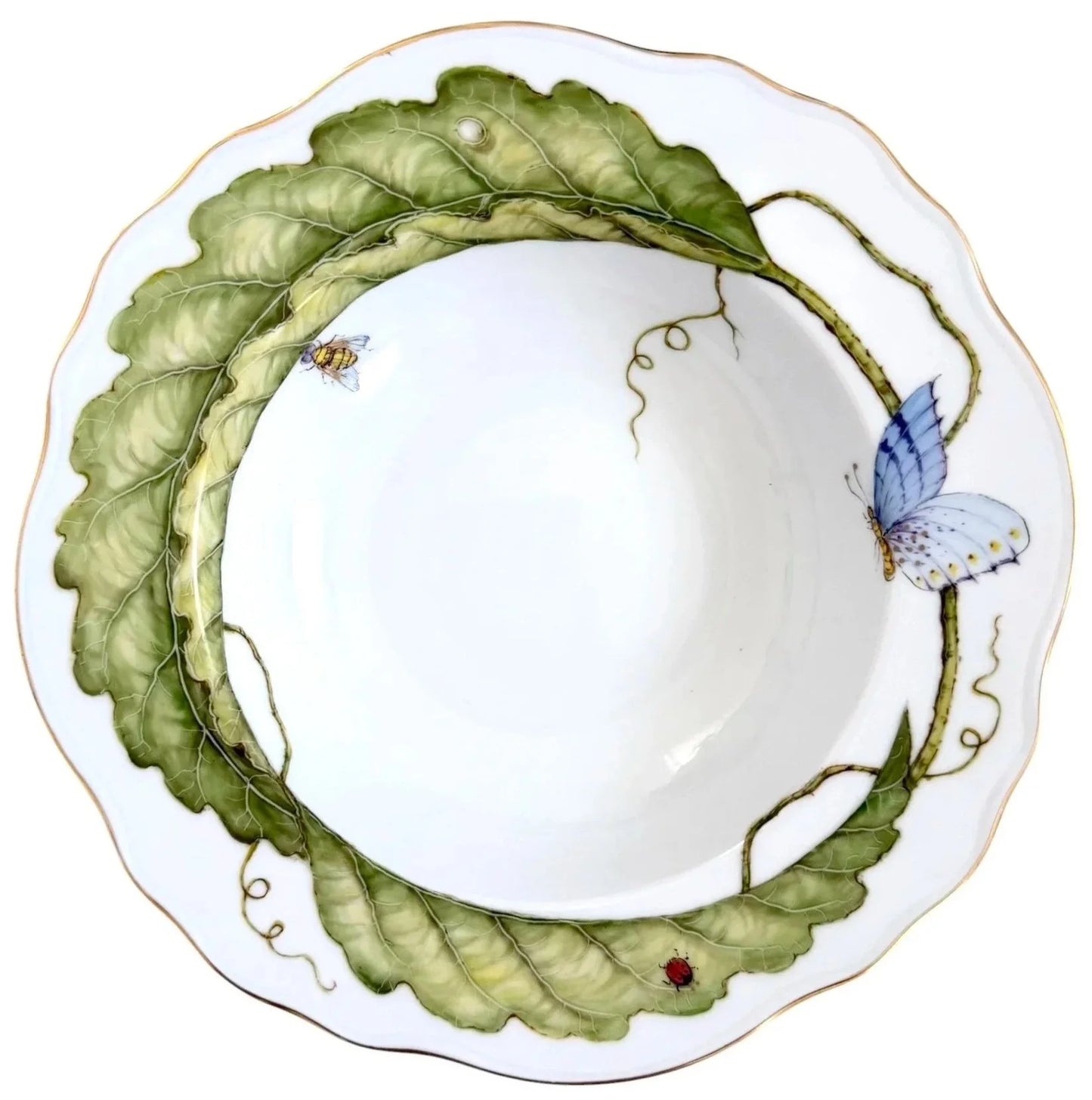 ATP1M -  Soup/Pasta Plate