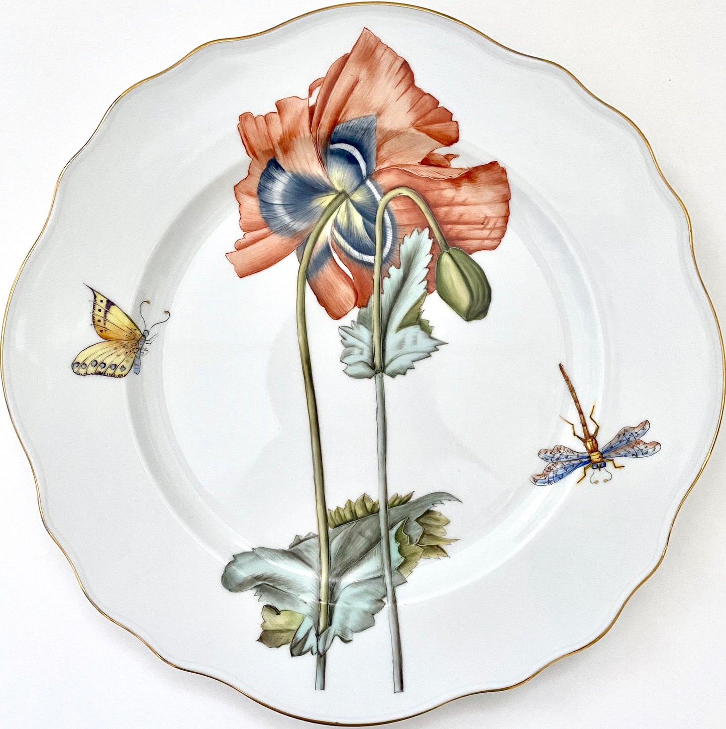 FG3 - Dinner Plate
