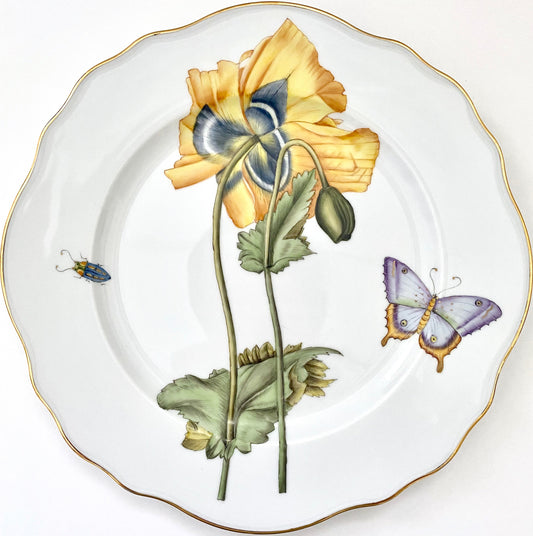 FG5 - Dinner Plate