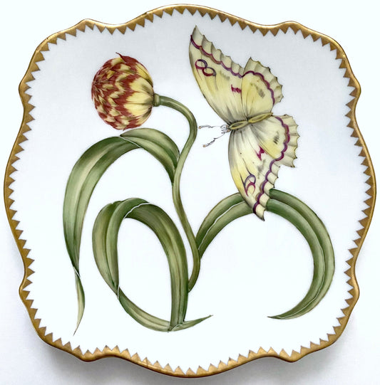 SP6 -Dessert/Bread&Butter/Appetizer Plate