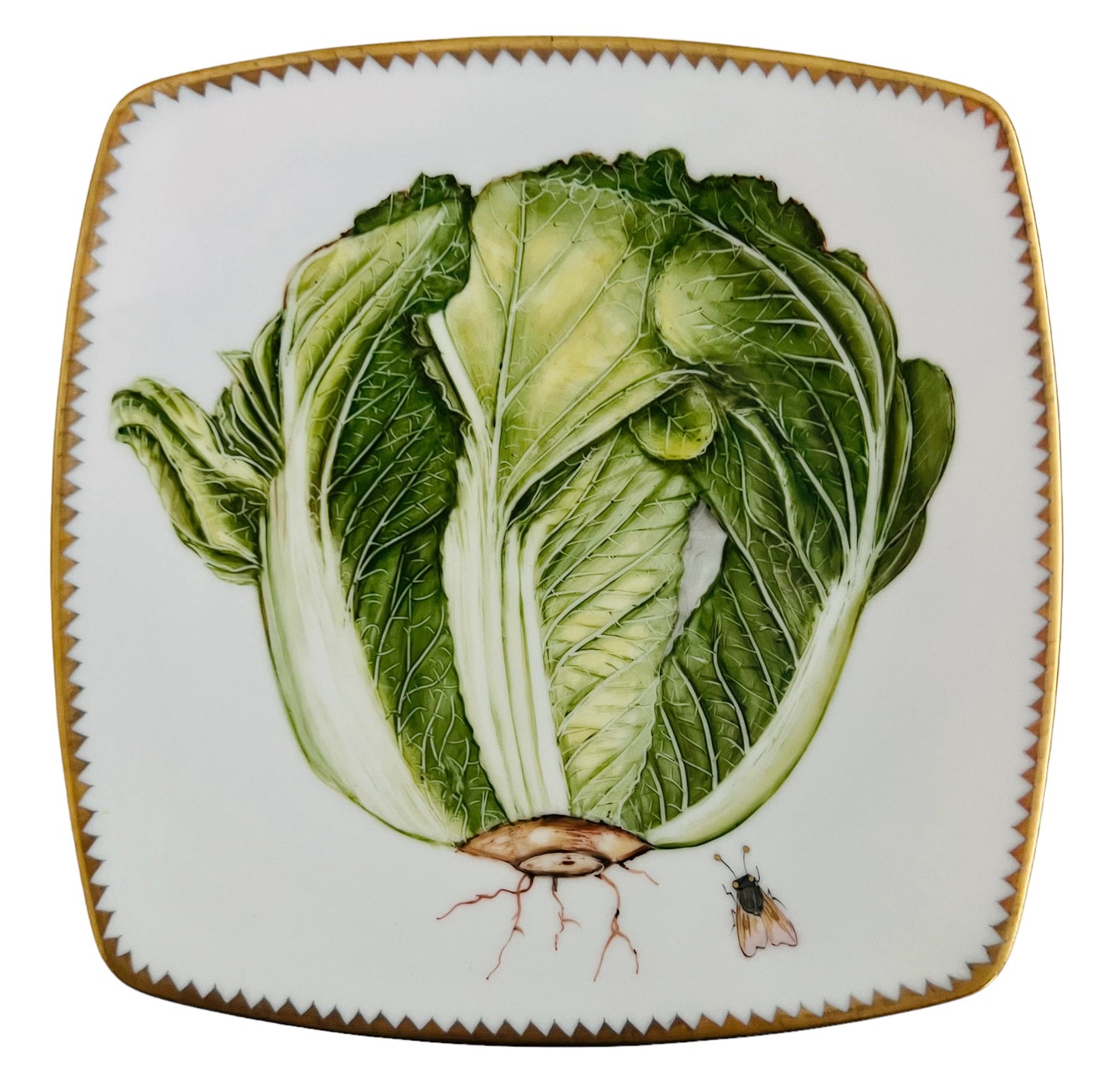 VG5 - Salad/Dessert/Luncheon Plate