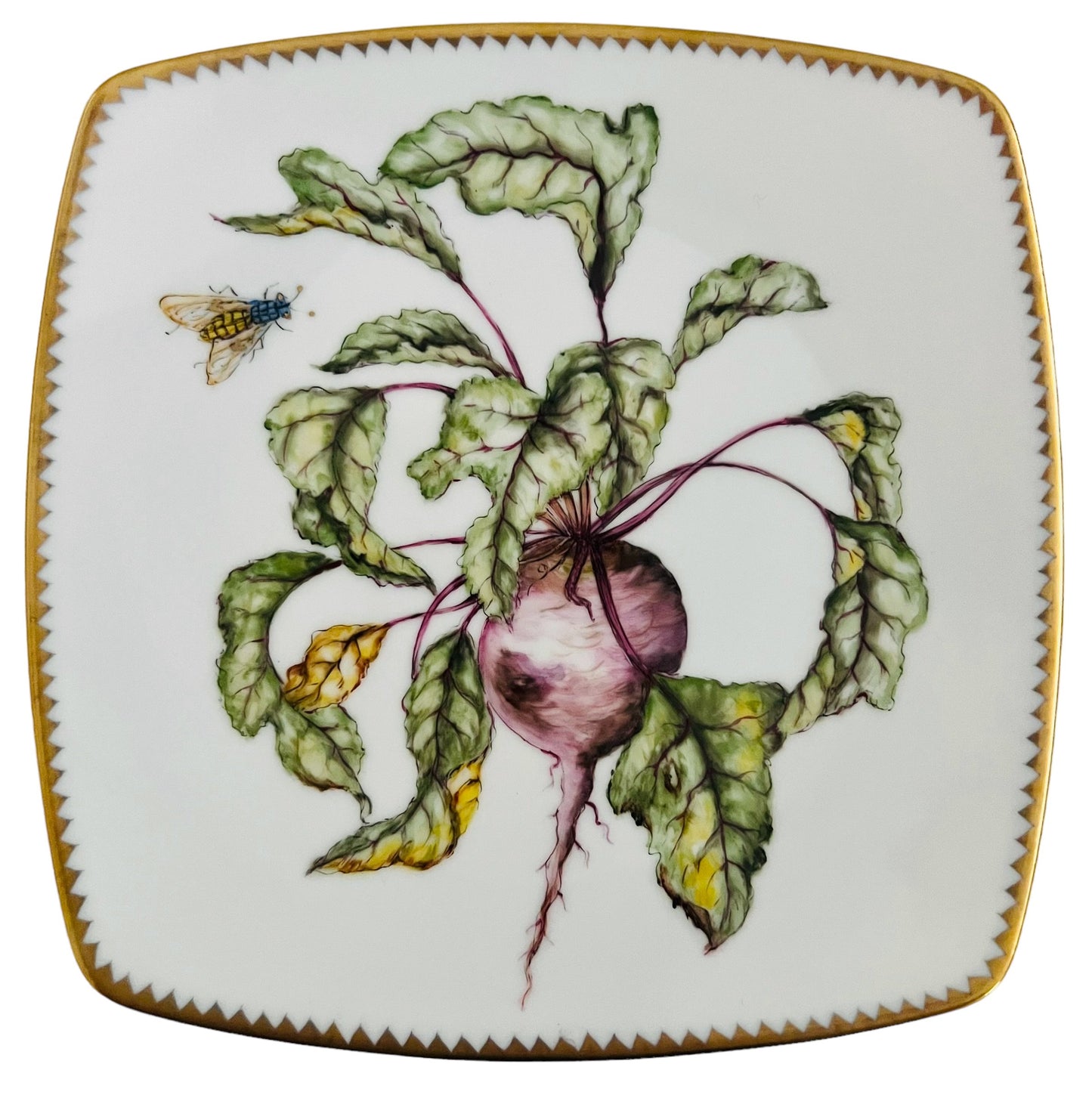 VG1 - Salad/Dessert/Luncheon Plate
