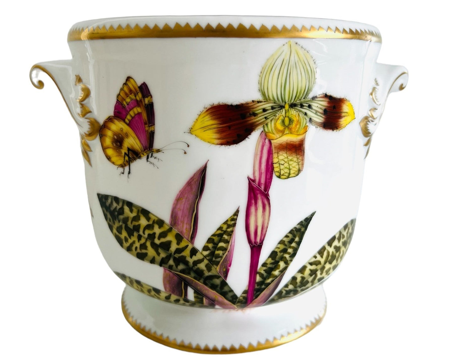 ORC66 - Orchid Cachepot/Planter