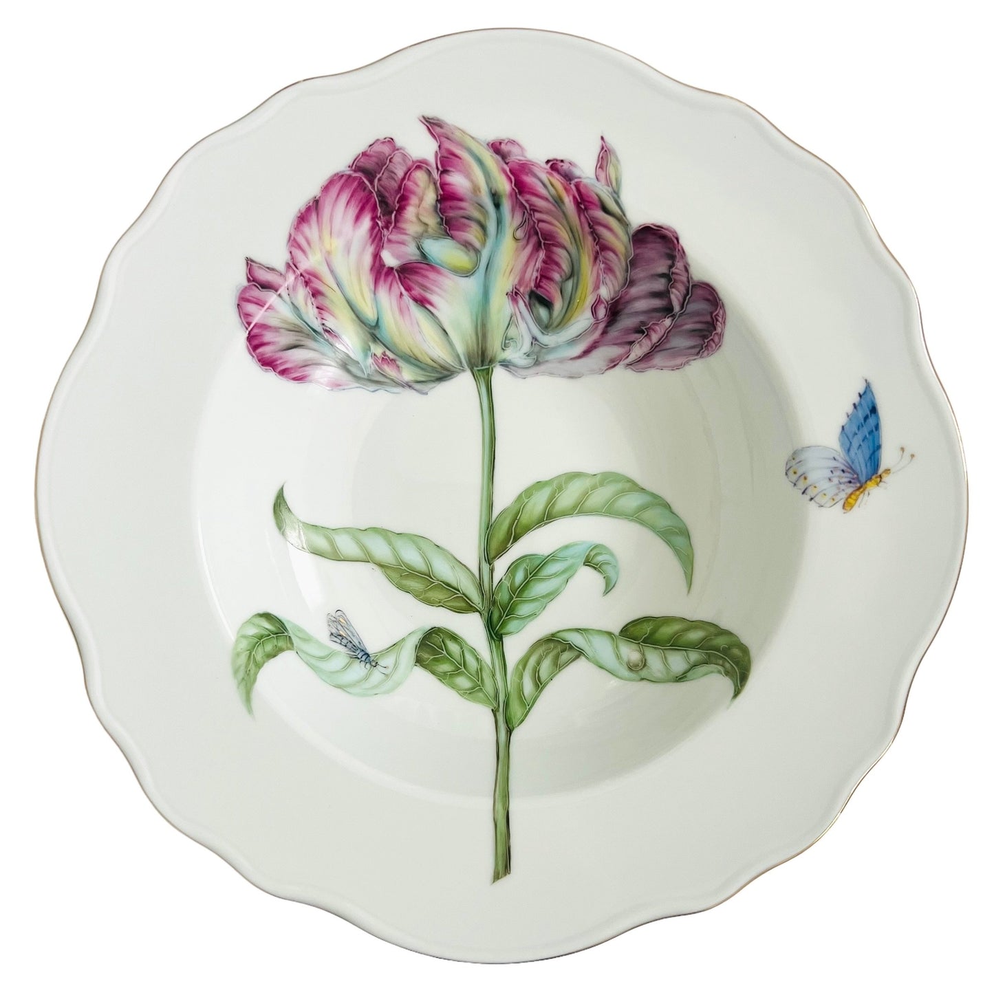 BRP3 -  Soup/Pasta Plate