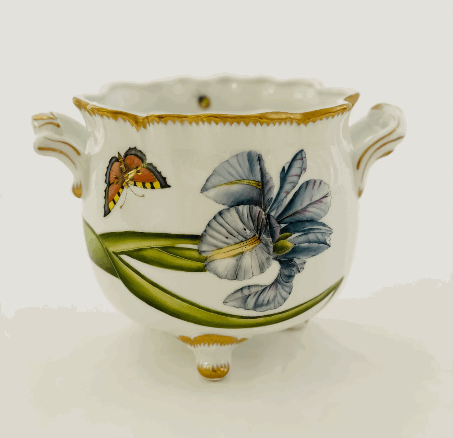 BM6 - Iris Flower Ruffled  Cachepot