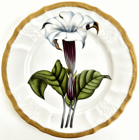 M138 - White Flower Salad/Dessert Plate