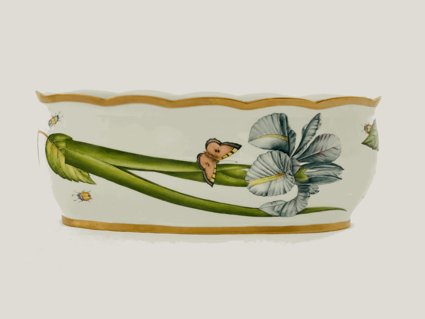 M360 - Long Oval Cachepot